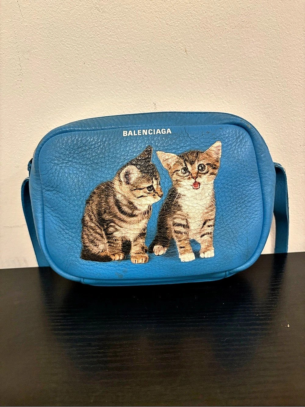 Balenciaga Everyday Kittens Camera Bag XS Cat Graphic Blue Crossbody
